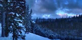 Co to znaczy licencjat? Co to znaczy licencjat?