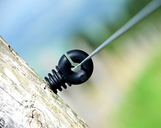 Ile Polaków Studiowało na Yale? Ile Polaków Studiowało na Yale?