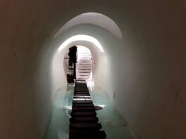 Jak bukmacherzy ustalają kursy? Jak bukmacherzy ustalają kursy?