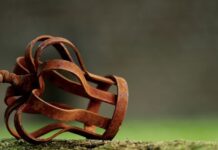 Czy po obronie licencjatu traci się status studenta?