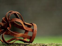 Czy po obronie licencjatu traci się status studenta?