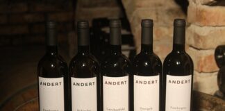 Kto rządzi internetem?