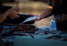 Gdzie sprzedawać swoje kursy online? Gdzie sprzedawać swoje kursy online?