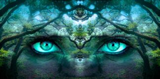 Jak chronić swoją tożsamość cyfrowa?