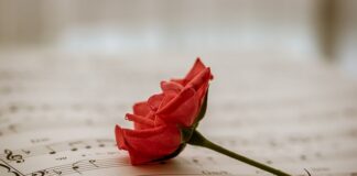 W jakich krajach jest bezpłatna służba zdrowia? W jakich krajach jest bezpłatna służba zdrowia?