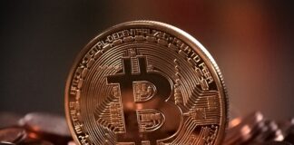 Która Kryptowaluta najlepsza?