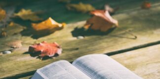 Co to jest studium przypadku?